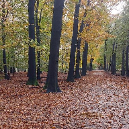 فيلا Chalet Wanama. Gelegen Op Het Vakantiepark Het Lierderholt Op De Veluwe. بيكبيرخين المظهر الخارجي الصورة