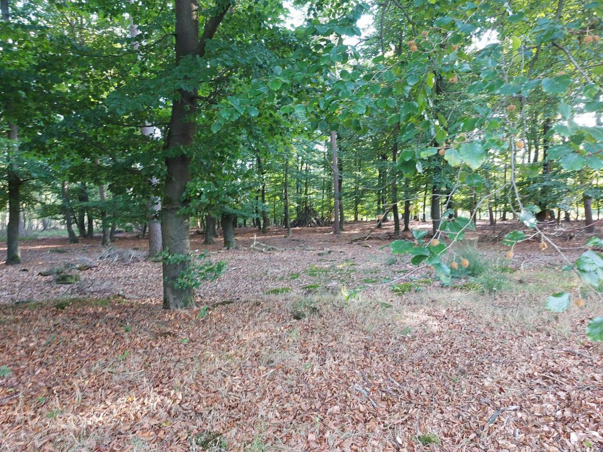 فيلا Chalet Wanama. Gelegen Op Het Vakantiepark Het Lierderholt Op De Veluwe. بيكبيرخين المظهر الخارجي الصورة