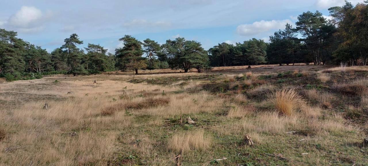 فيلا Chalet Wanama. Gelegen Op Het Vakantiepark Het Lierderholt Op De Veluwe. بيكبيرخين المظهر الخارجي الصورة