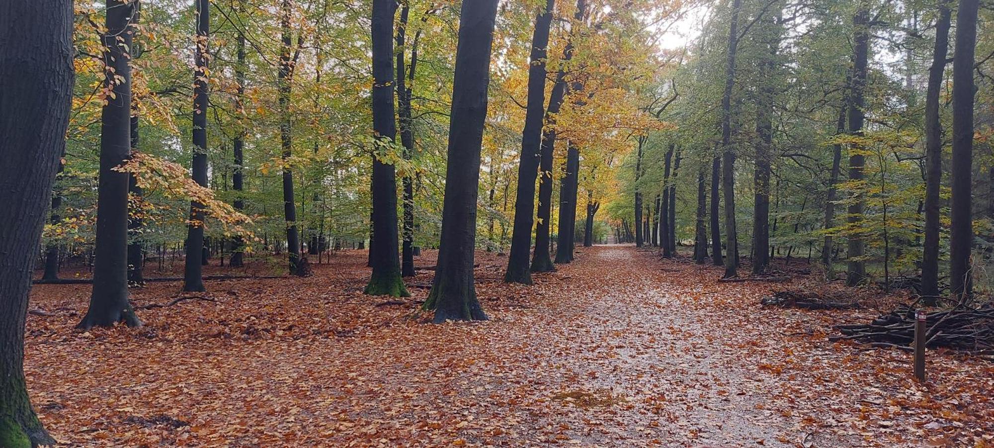 فيلا Chalet Wanama. Gelegen Op Het Vakantiepark Het Lierderholt Op De Veluwe. بيكبيرخين المظهر الخارجي الصورة
